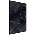 Plakat - Zarys monstery
