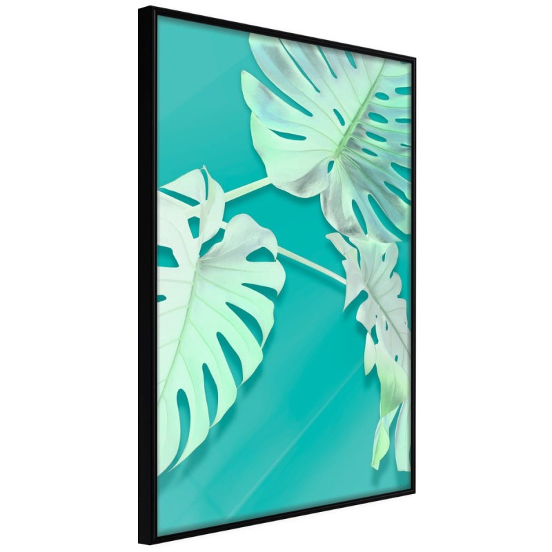 Plakat - Morska monstera