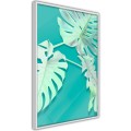 Plakat - Morska monstera