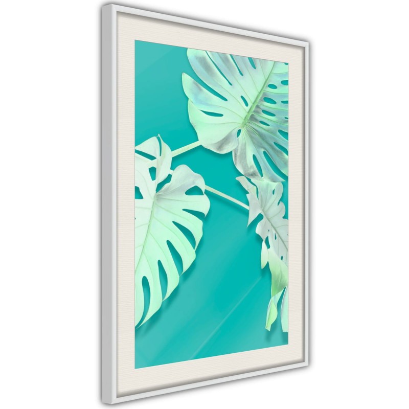 Plakat - Morska monstera