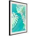 Plakat - Morska monstera