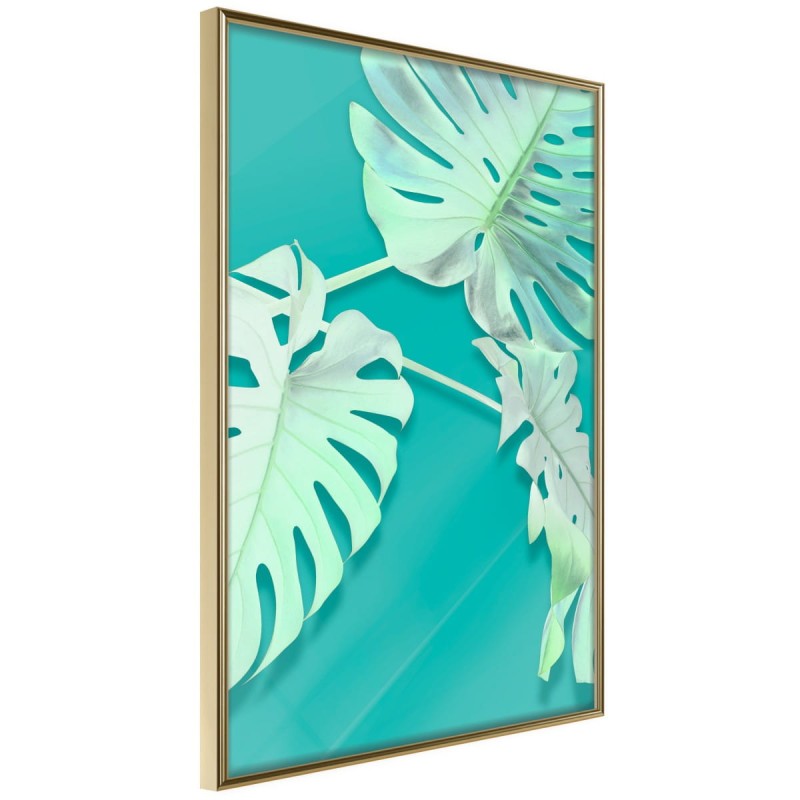 Plakat - Morska monstera