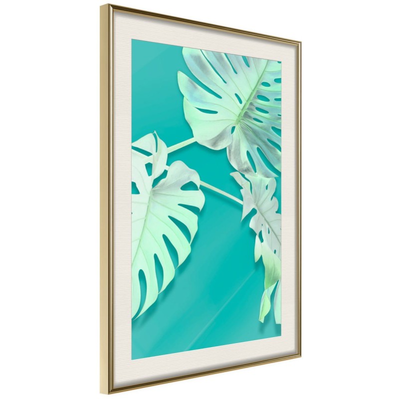 Plakat - Morska monstera