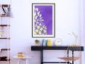 Plakat - Mocny kontrast