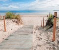Fototapeta  ZEJŚCIE NA PLAŻE  1998