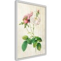Plakat - Romantyczność I