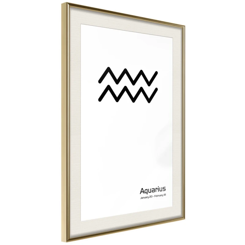 Plakat - Zodiak: Wodnik II