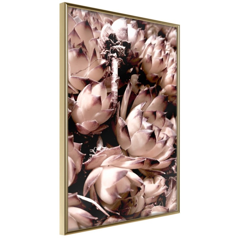 Plakat - Jesienne kwiaty