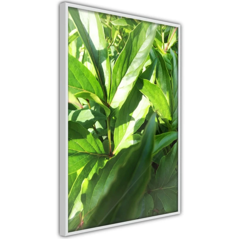 Plakat - Gdzieś w ogródku