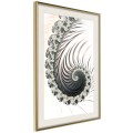 Plakat - Fraktalna spirala (pozytyw)
