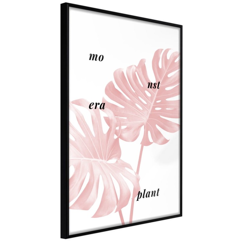 Plakat - Bladoróżowa monstera