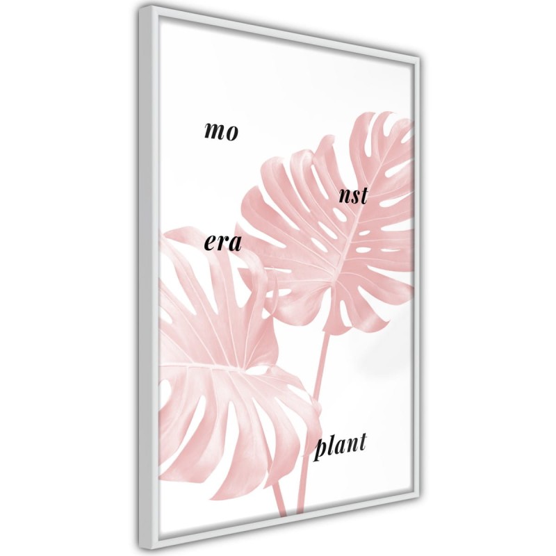 Plakat - Bladoróżowa monstera