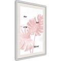 Plakat - Bladoróżowa monstera