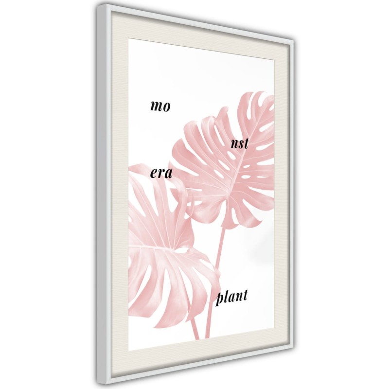Plakat - Bladoróżowa monstera