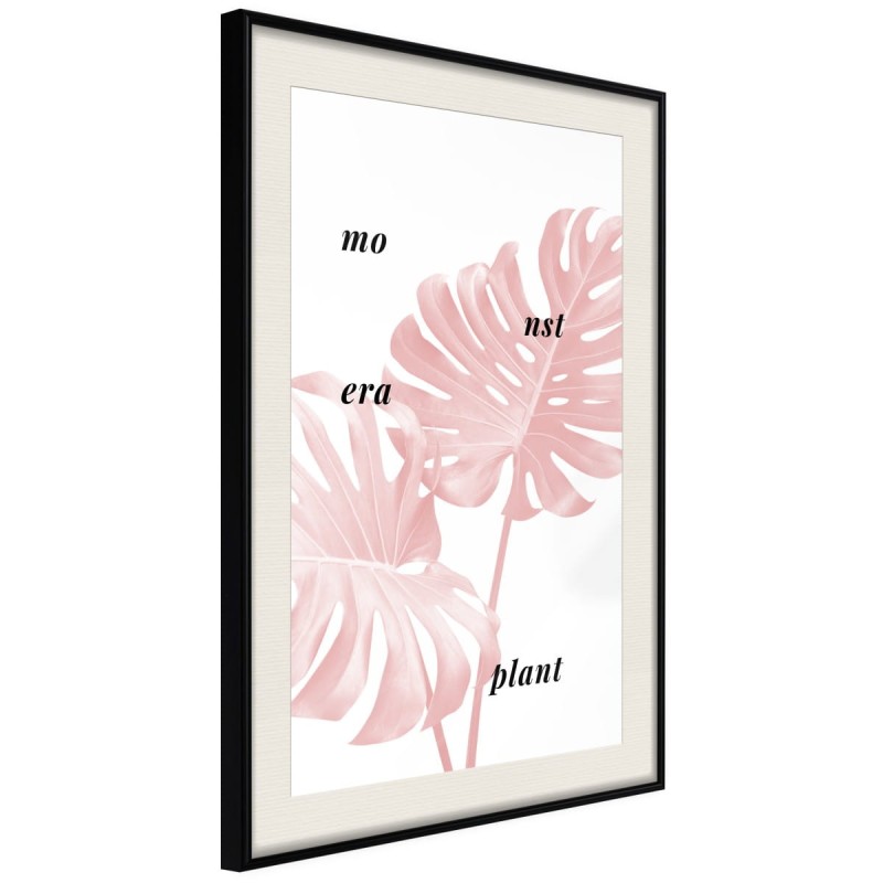 Plakat - Bladoróżowa monstera