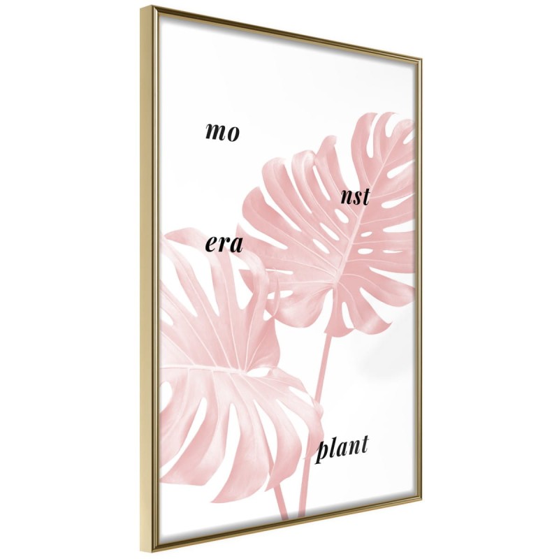 Plakat - Bladoróżowa monstera