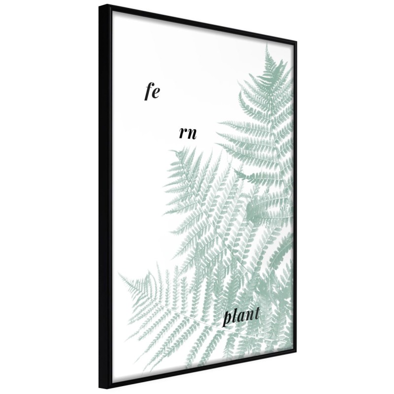 Plakat - Bladozielona paproć