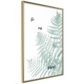 Plakat - Bladozielona paproć