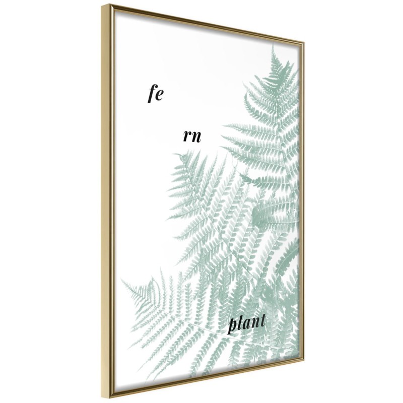 Plakat - Bladozielona paproć