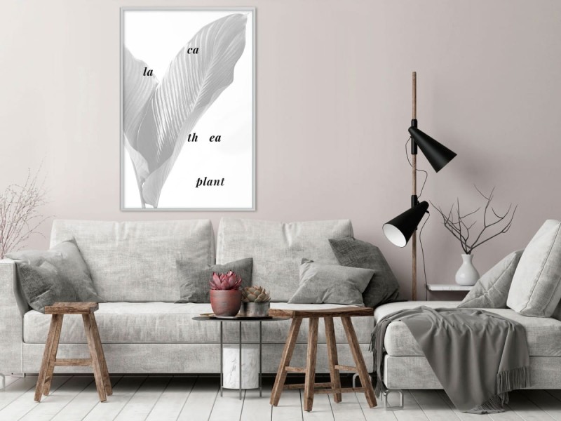 Plakat - Liście kalatei