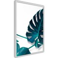 Plakat - Turkusowa monstera I