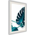 Plakat - Turkusowa monstera I