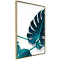 Plakat - Turkusowa monstera I