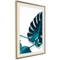 Plakat - Turkusowa monstera I