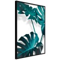 Plakat - Turkusowa monstera II