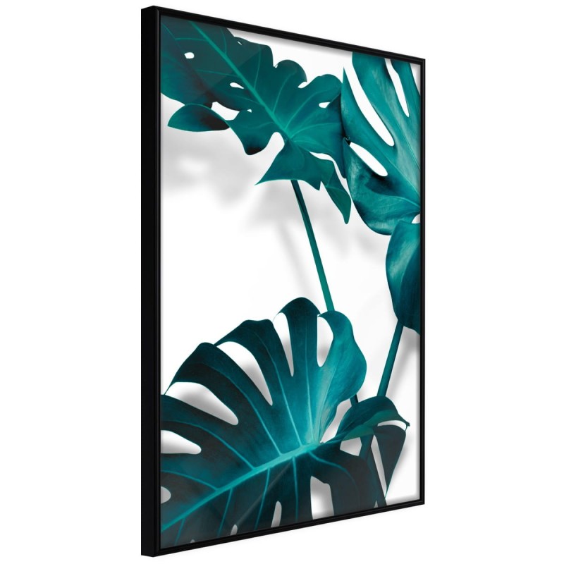 Plakat - Turkusowa monstera II