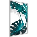 Plakat - Turkusowa monstera II