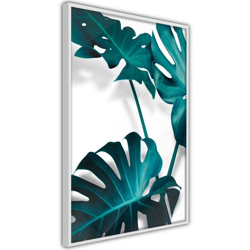 Plakat - Turkusowa monstera II