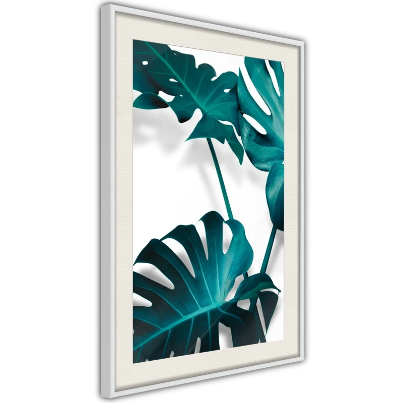 Plakat - Turkusowa monstera II