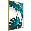 Plakat - Turkusowa monstera II