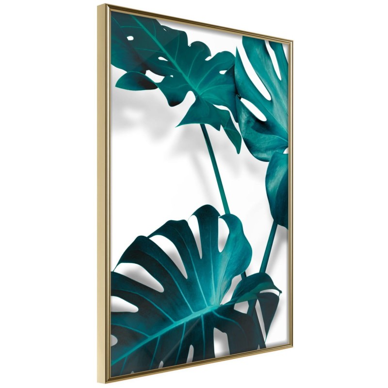 Plakat - Turkusowa monstera II