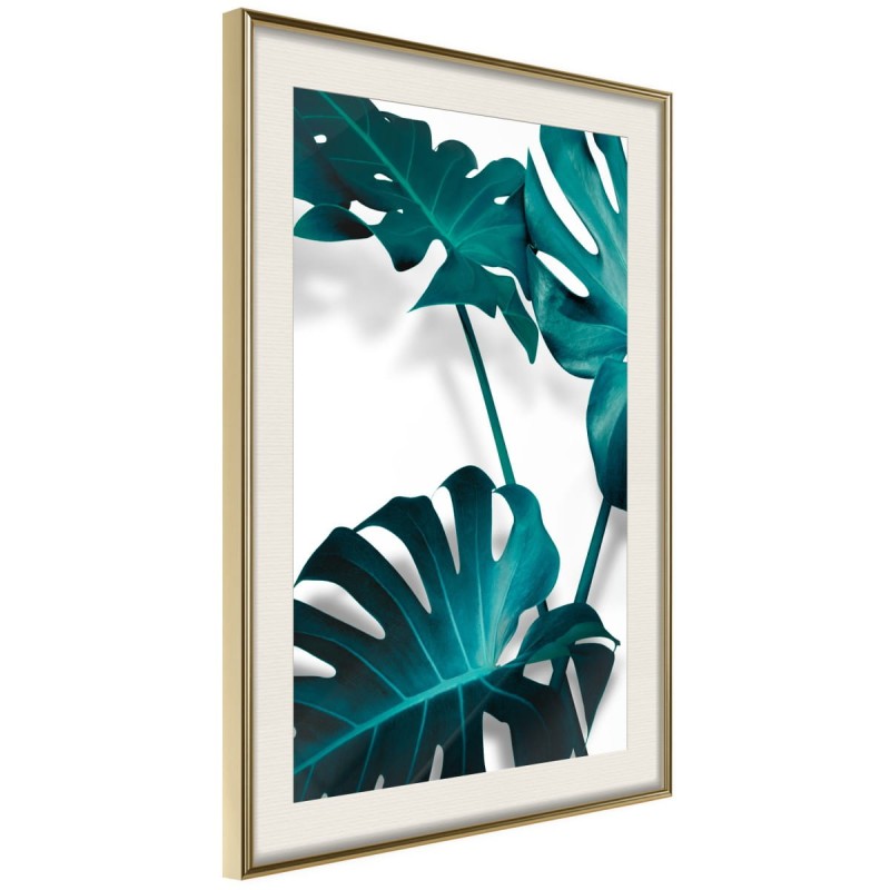 Plakat - Turkusowa monstera II