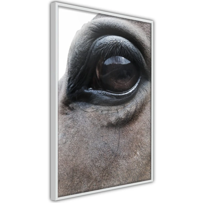 Plakat - Łagodne oczy