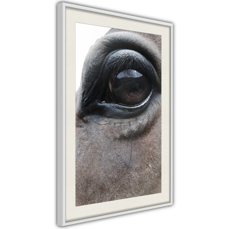 Plakat - Łagodne oczy