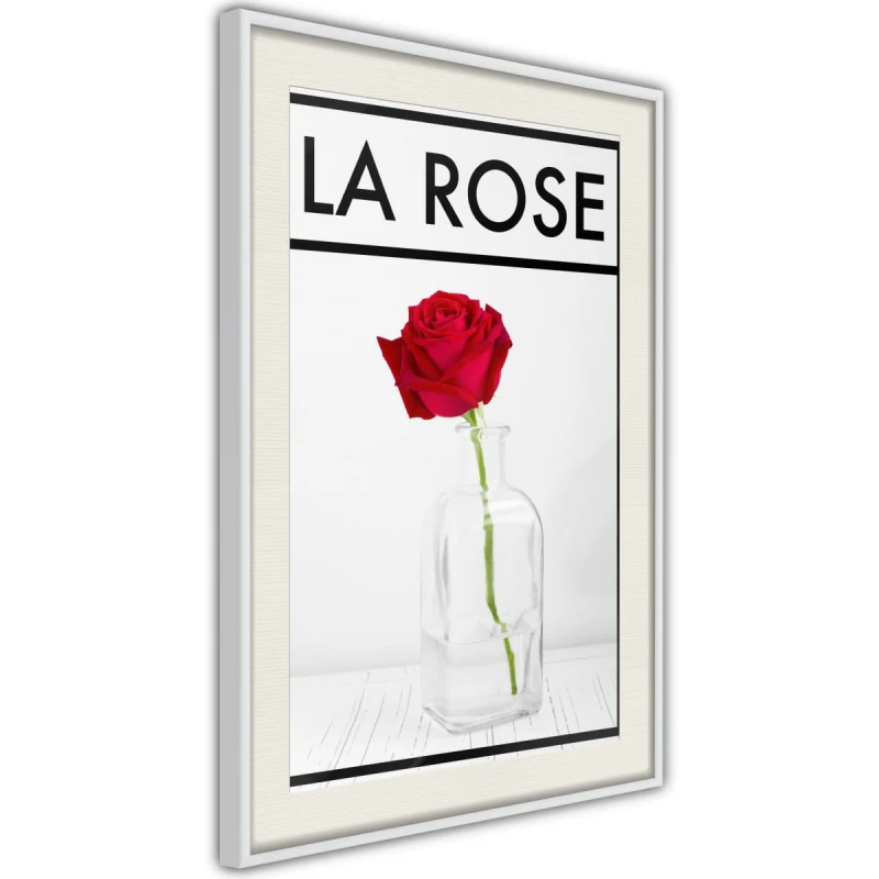 Plakat - Róża w wazonie
