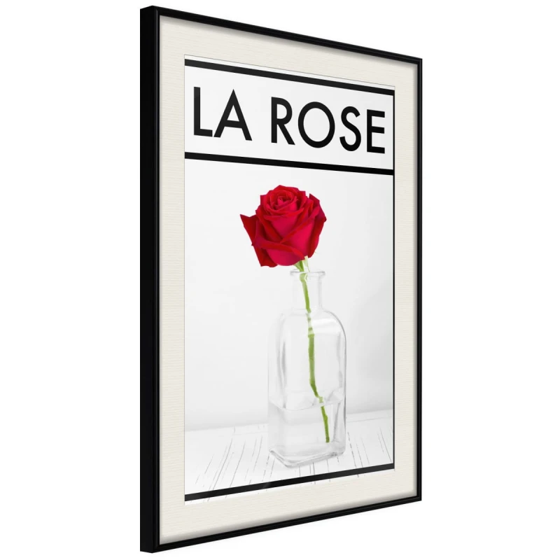 Plakat - Róża w wazonie