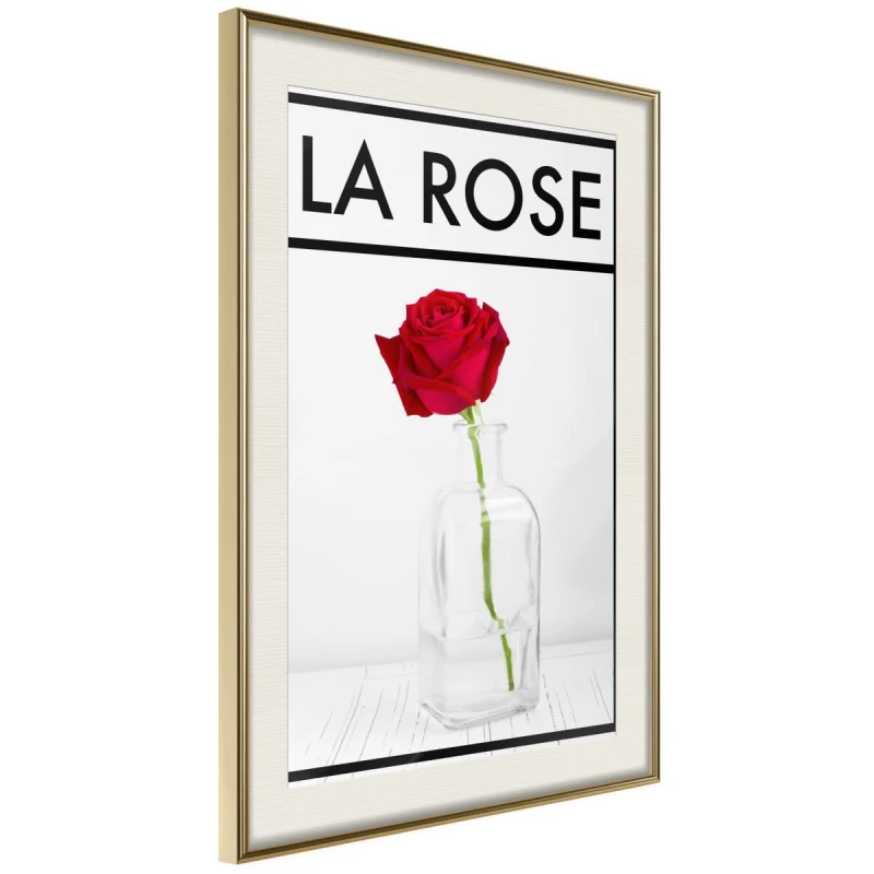 Plakat - Róża w wazonie