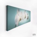 Obraz Orchidea 40-615