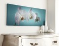 Obraz Orchidea 40-615