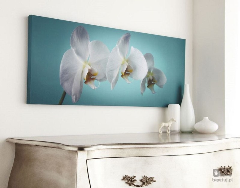 Obraz Orchidea 40-615