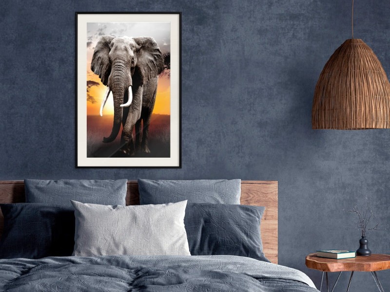 Plakat - Majestatyczny słoń