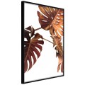 Plakat - Miedziana monstera