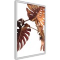 Plakat - Miedziana monstera