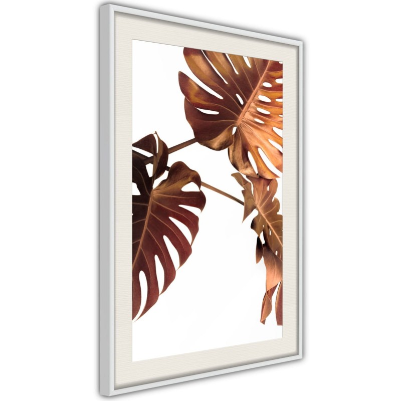 Plakat - Miedziana monstera