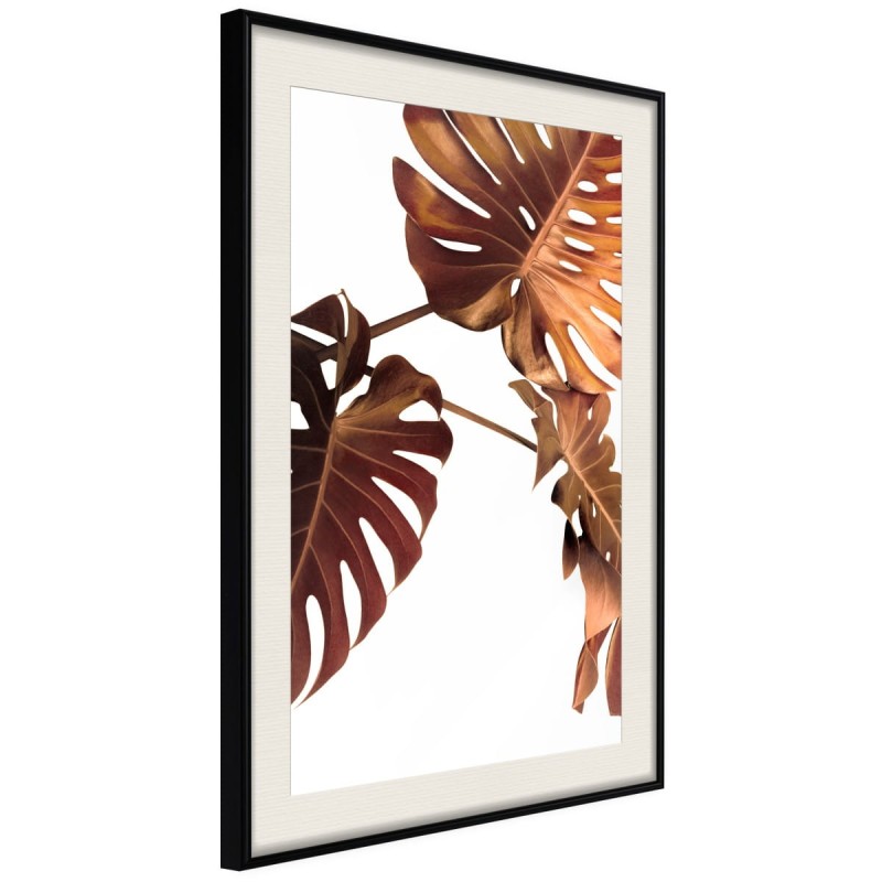 Plakat - Miedziana monstera