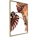 Plakat - Miedziana monstera